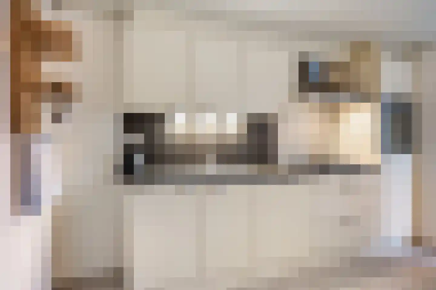 Blazoenstraat 14 Tilburg thumbnail 10