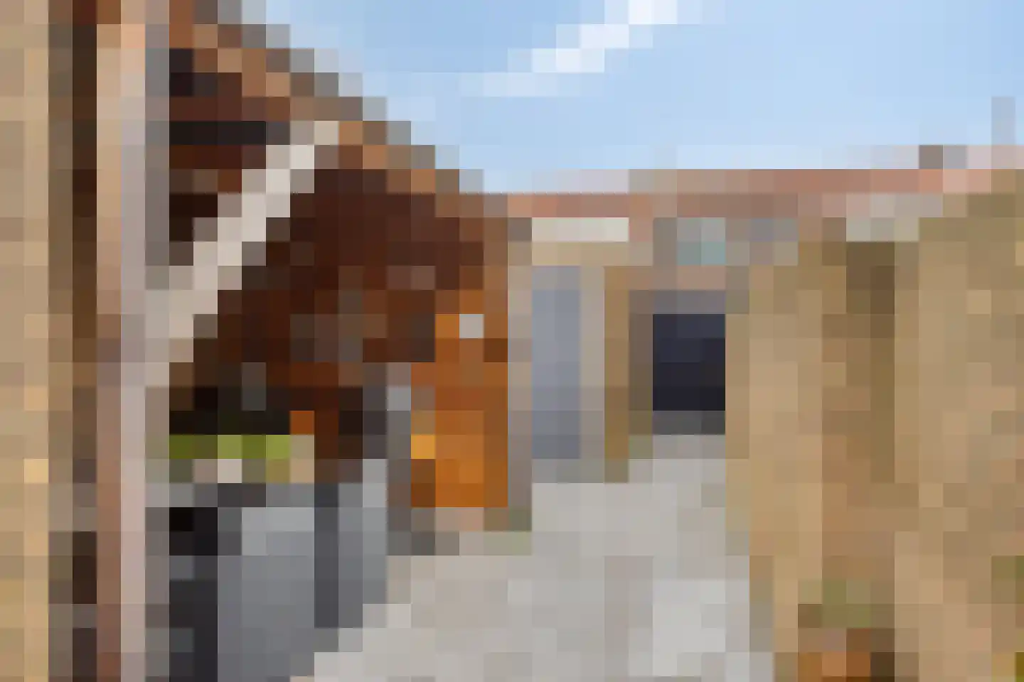 Blazoenstraat 14 Tilburg thumbnail 22