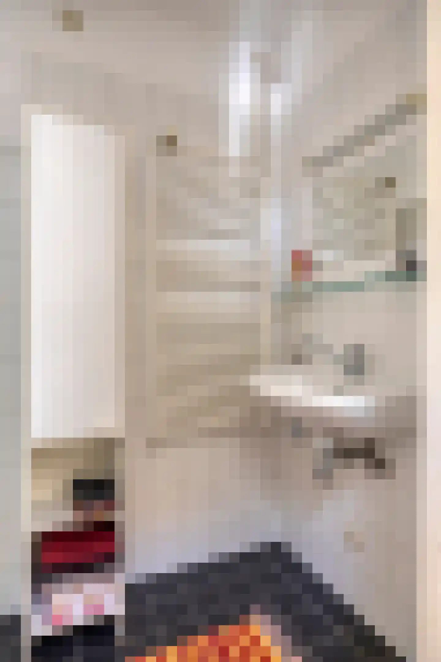 Blazoenstraat 53 Tilburg thumbnail 16