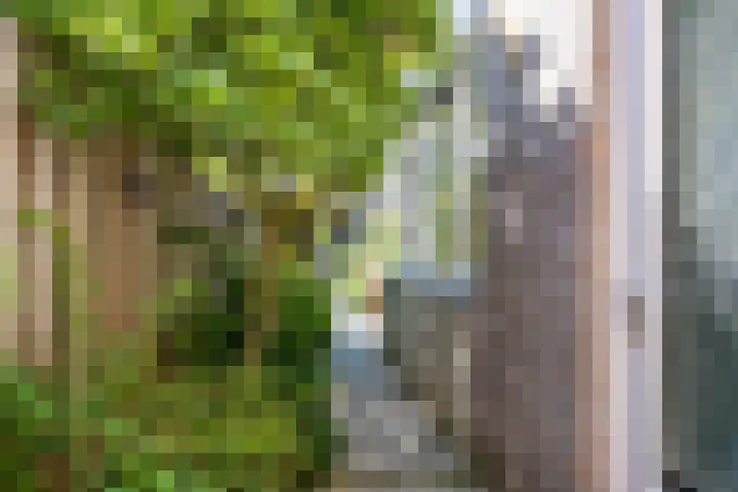 Blazoenstraat 53 Tilburg thumbnail 31