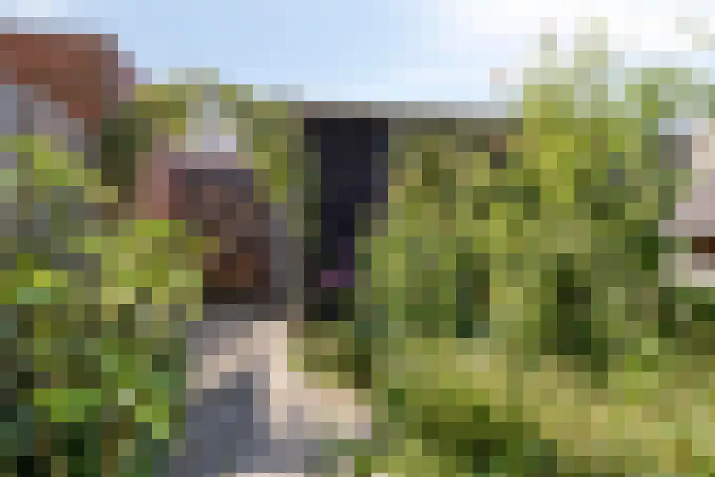 Blazoenstraat 53 Tilburg thumbnail 33