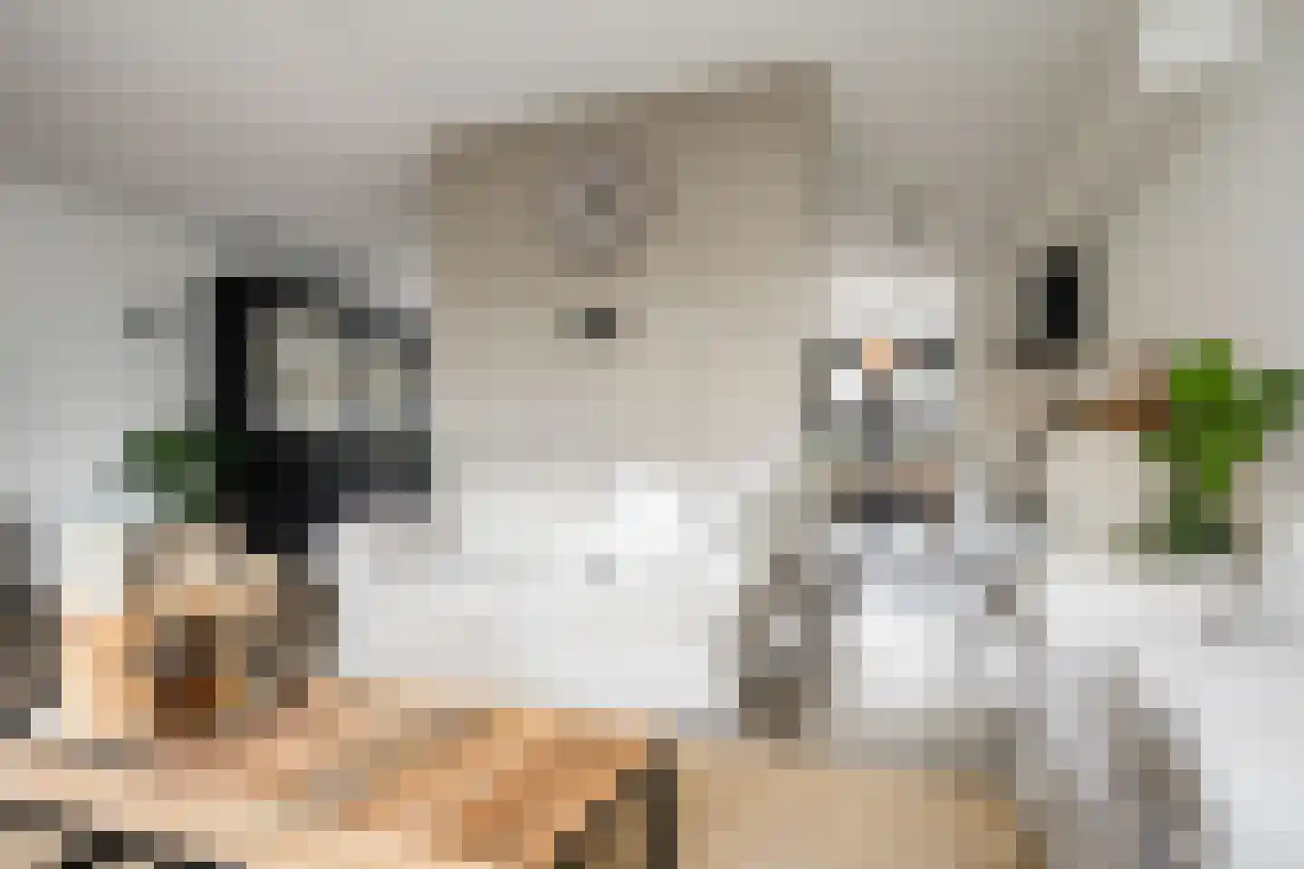 Blechtekum 14 Nieuw-Vennep thumbnail 16