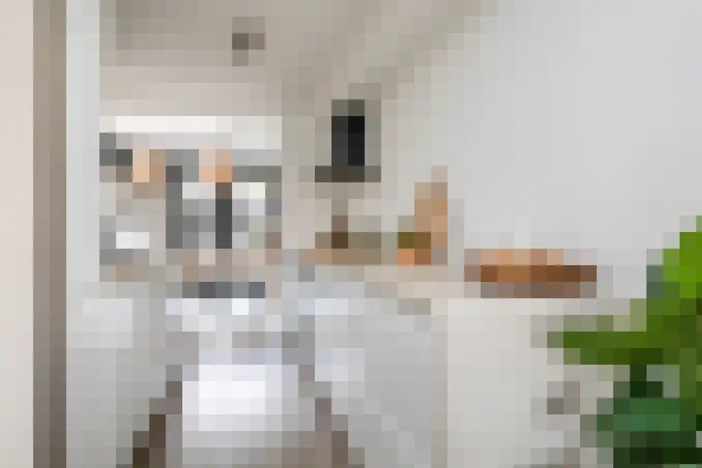 Blechtekum 14 Nieuw-Vennep thumbnail 27