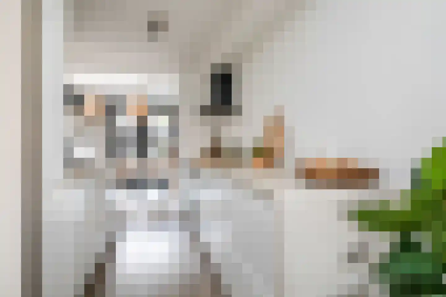 Blechtekum 14 Nieuw-Vennep thumbnail 5