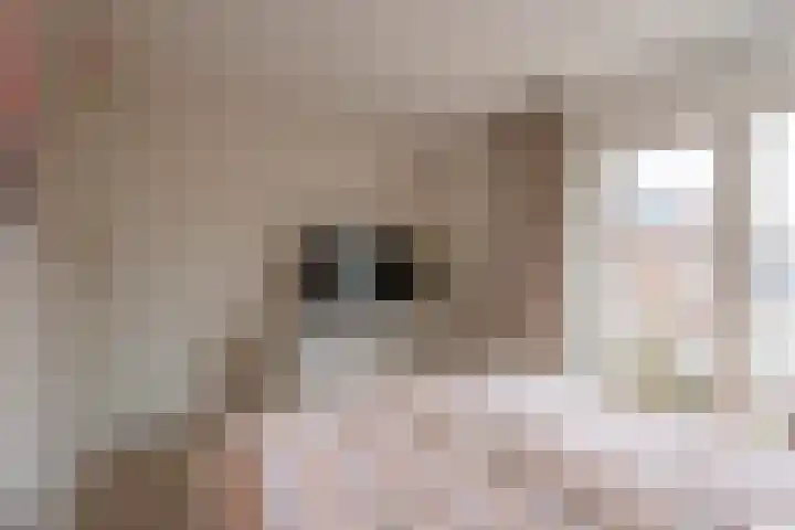 Blechtekum 2 Nieuw-Vennep thumbnail 11