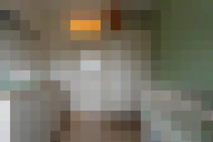 Blechtekum 2 Nieuw-Vennep thumbnail 13