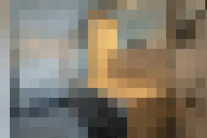 Blechtekum 2 Nieuw-Vennep thumbnail 14
