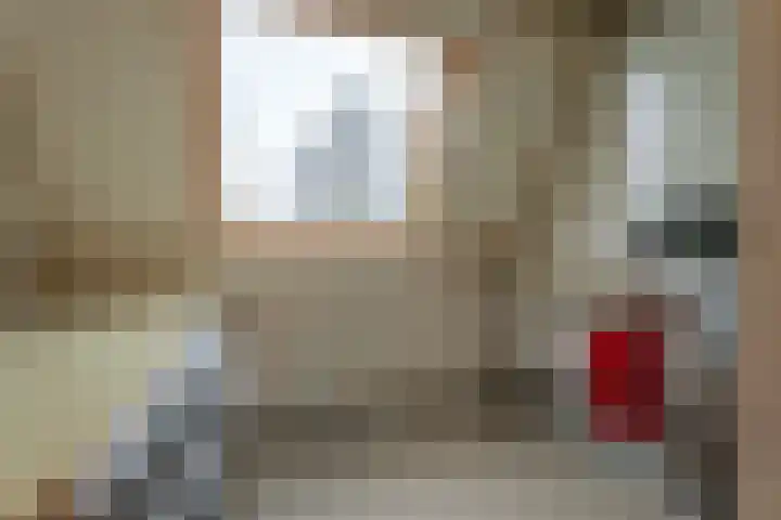 Blechtekum 2 Nieuw-Vennep thumbnail 17