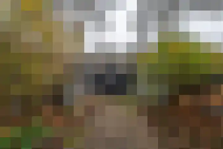 Blechtekum 2 Nieuw-Vennep thumbnail 20