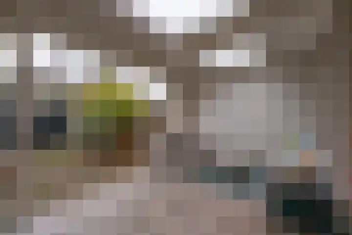 Blechtekum 2 Nieuw-Vennep thumbnail 22