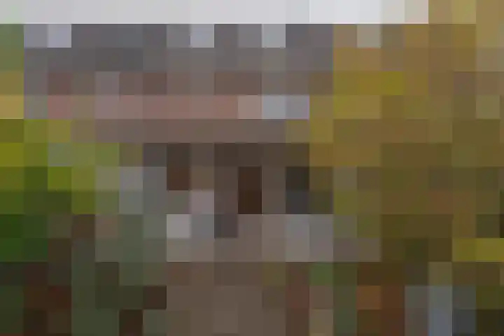 Blechtekum 2 Nieuw-Vennep thumbnail 23