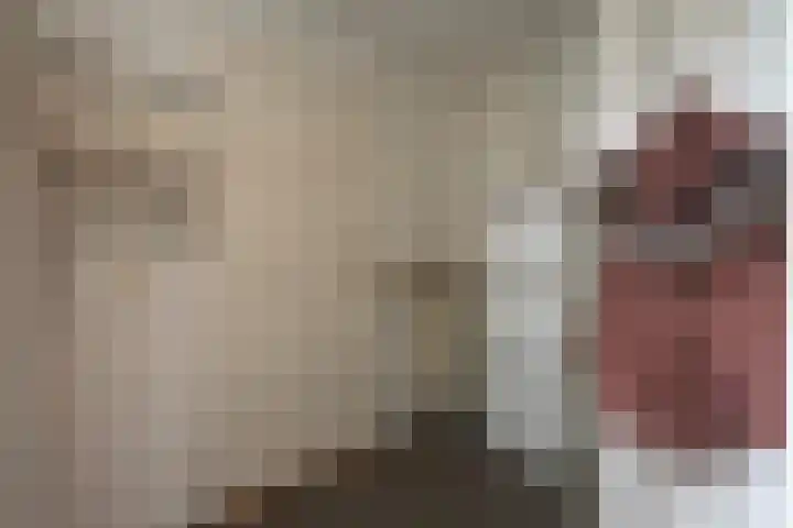 Blechtekum 2 Nieuw-Vennep thumbnail 25