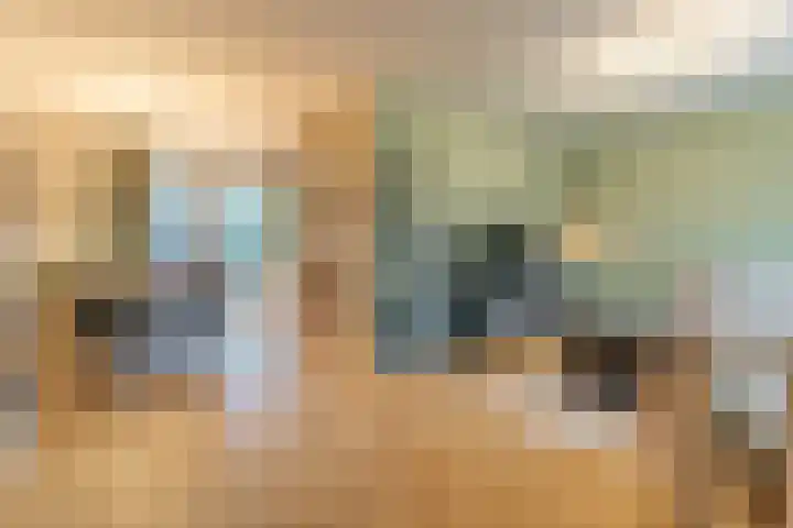Blechtekum 2 Nieuw-Vennep thumbnail 4