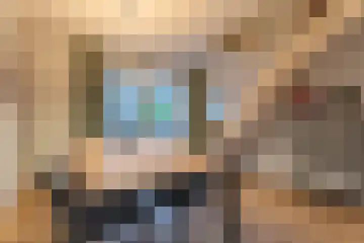 Blechtekum 2 Nieuw-Vennep thumbnail 6