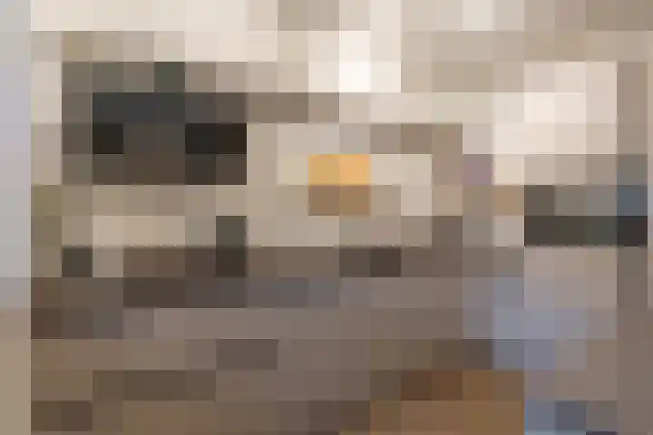 Blechtekum 2 Nieuw-Vennep thumbnail 7