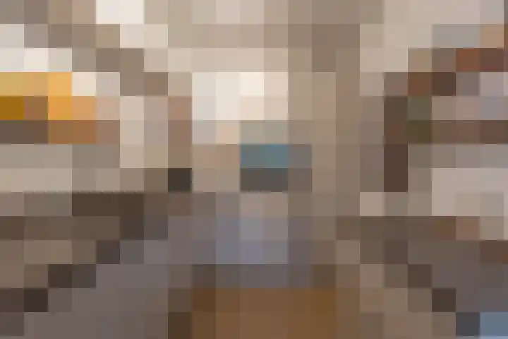 Blechtekum 2 Nieuw-Vennep thumbnail 8