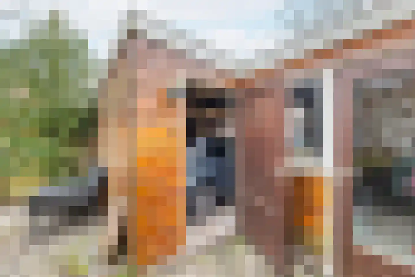Bleek 20 Middelburg thumbnail 22