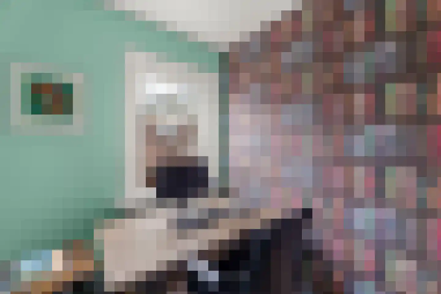 Bleek 20 Middelburg thumbnail 33