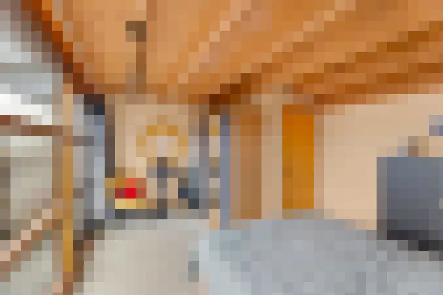 Bleek 20 Middelburg thumbnail 37