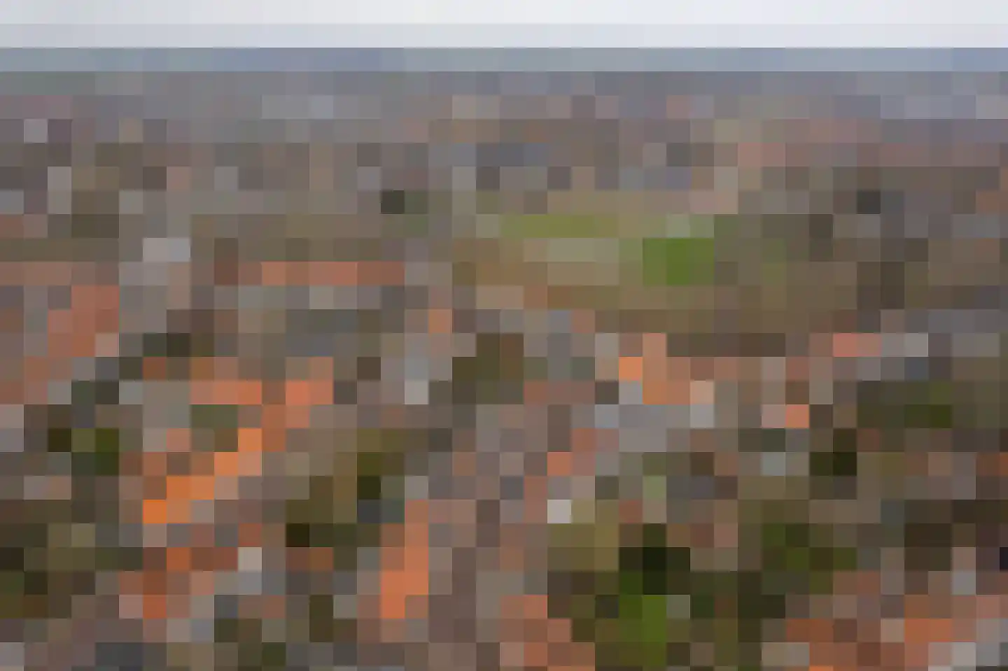 Bleek 20 Middelburg thumbnail 7