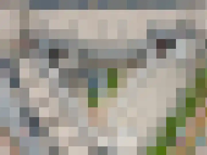 Bleek 26 Harderwijk thumbnail 40