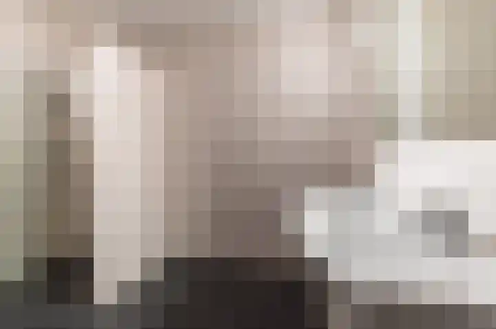 Bleek 26 Harderwijk thumbnail 6