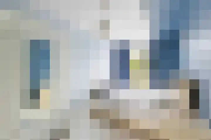Bleek 26 Middelburg thumbnail 21
