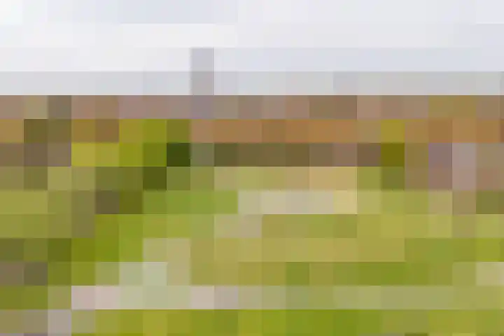 Bleek 26 Middelburg thumbnail 38
