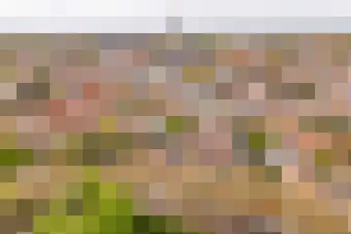 Bleek 26 Middelburg thumbnail 39