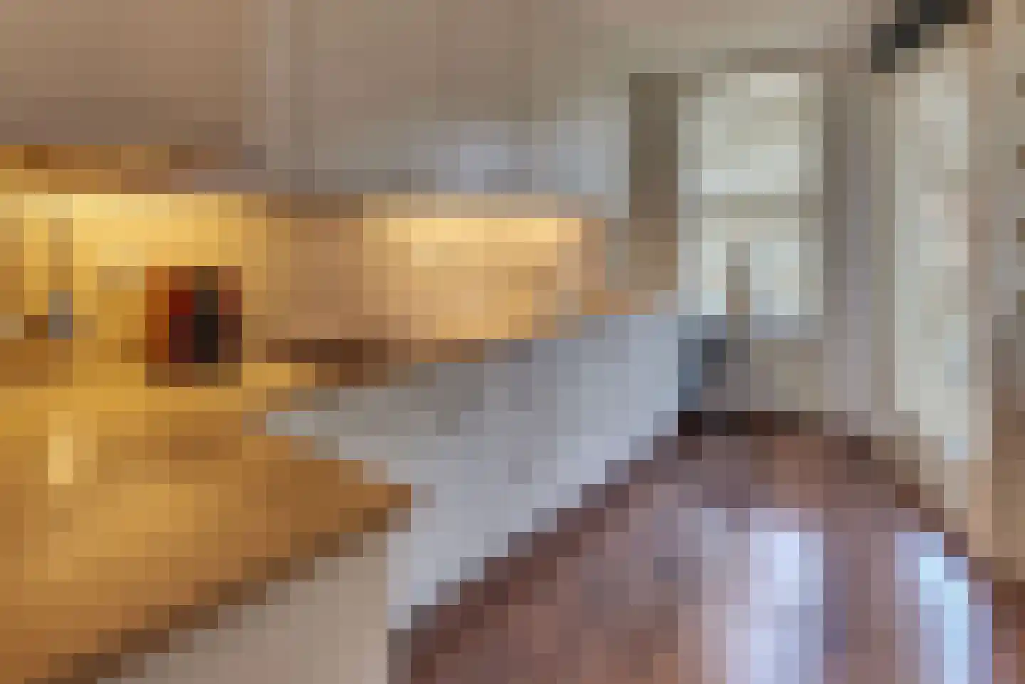 Bleek 5 Harderwijk thumbnail 14