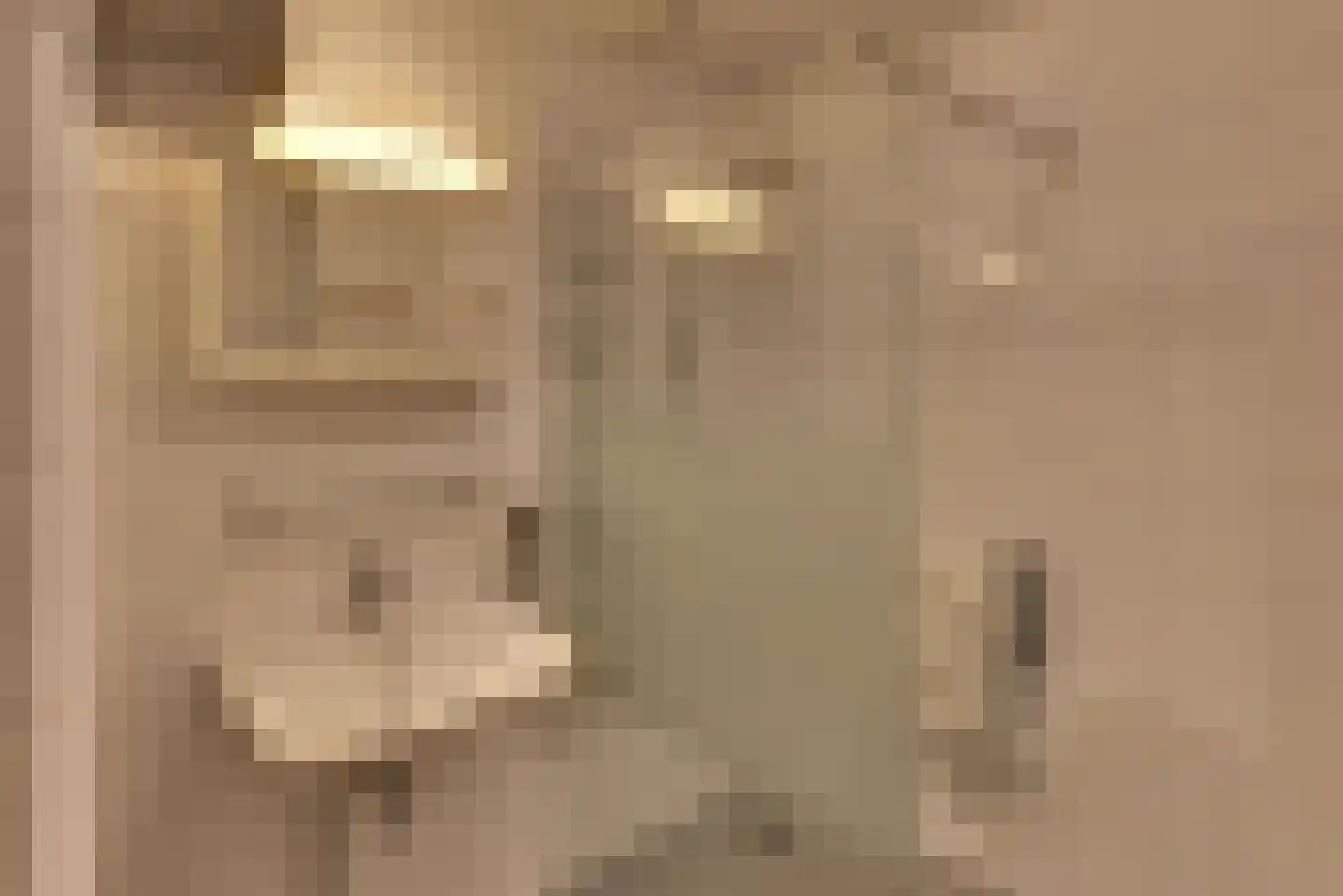 Bleek 5 Harderwijk thumbnail 21