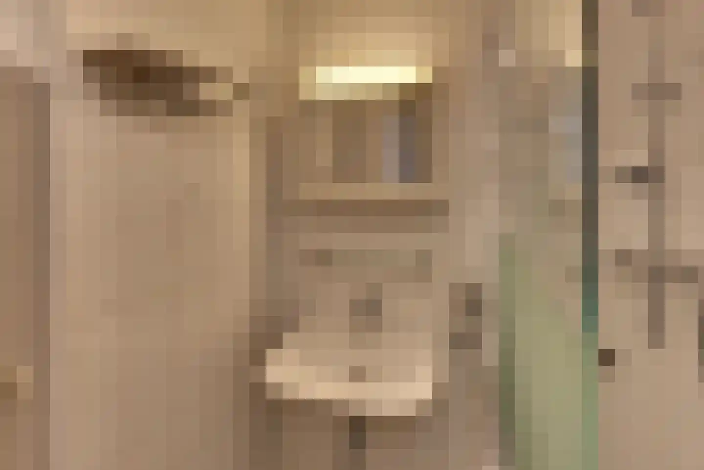 Bleek 5 Harderwijk thumbnail 22