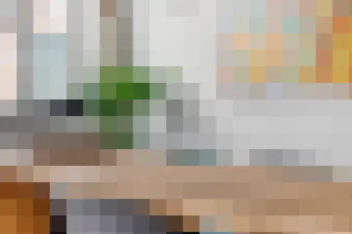 Bleek 67 Harderwijk thumbnail 18