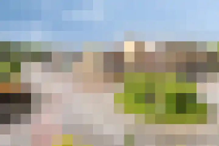 Bleek 67 Harderwijk thumbnail 26