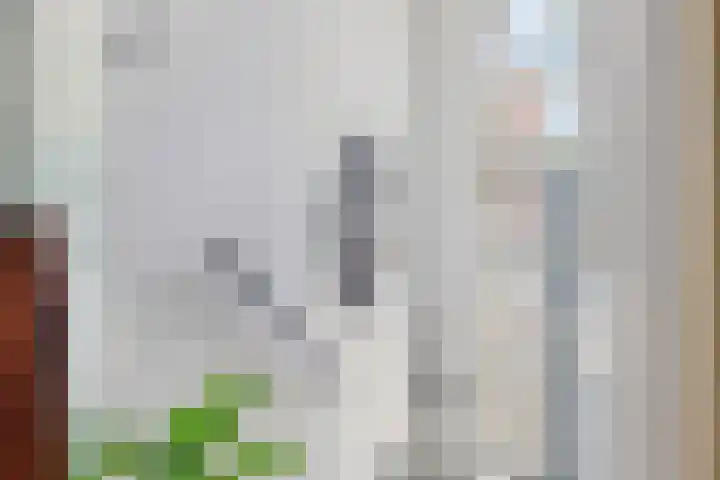 Bleek 67 Harderwijk thumbnail 5