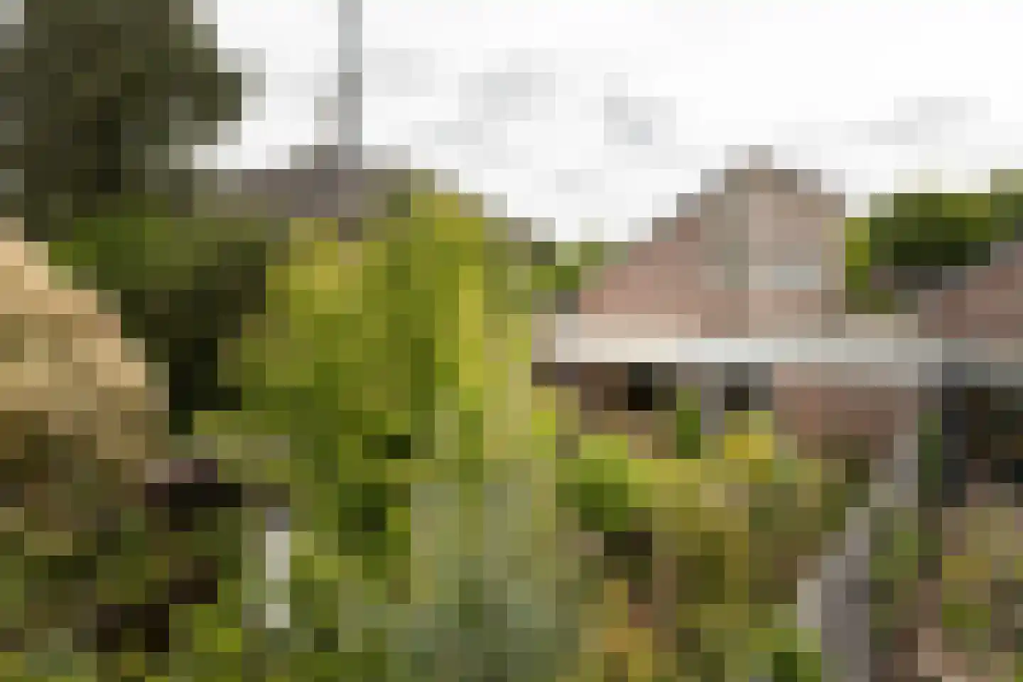Bleekenweg 13 Neede thumbnail 28