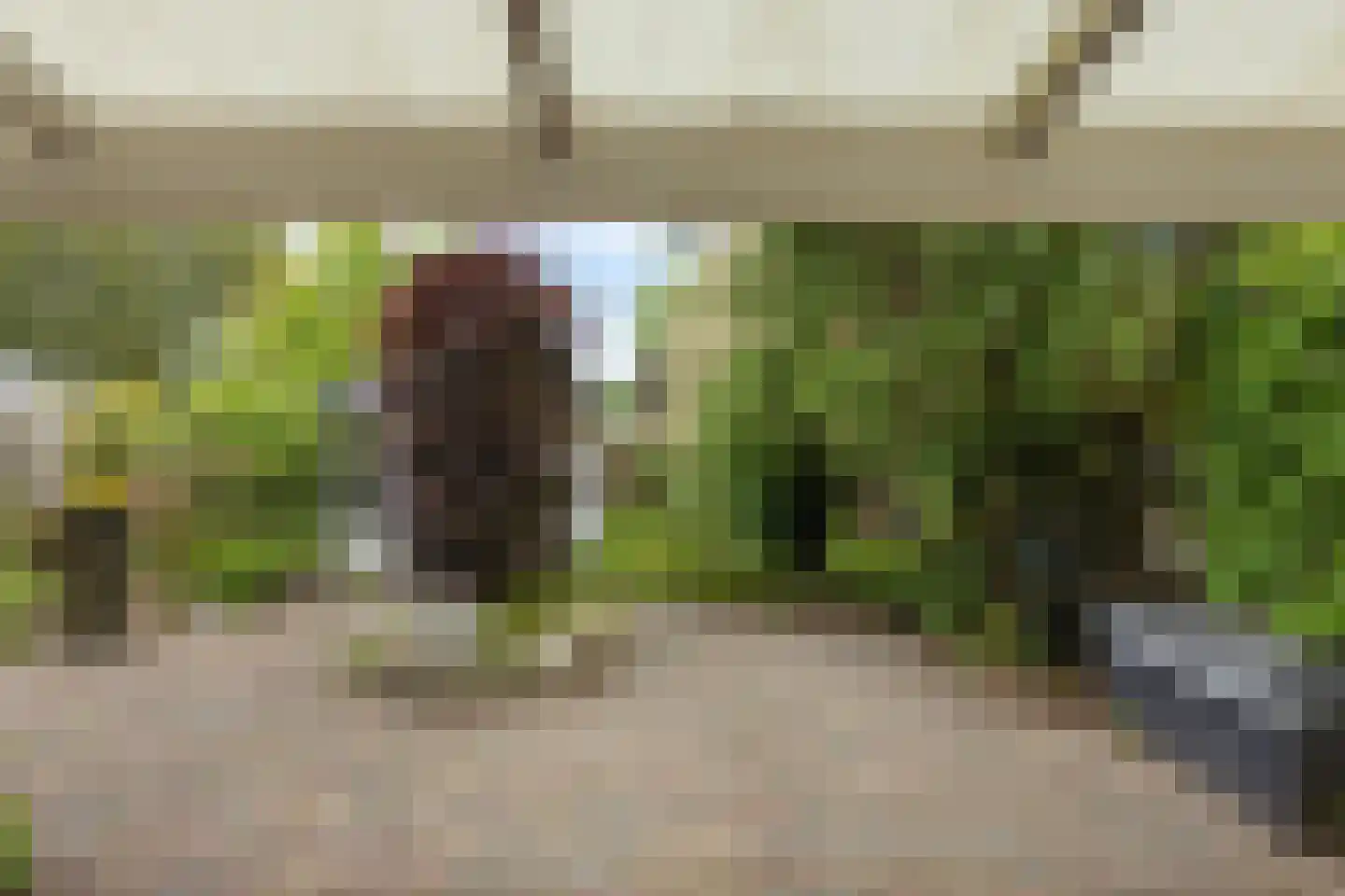 Bleekenweg 13 Neede thumbnail 29