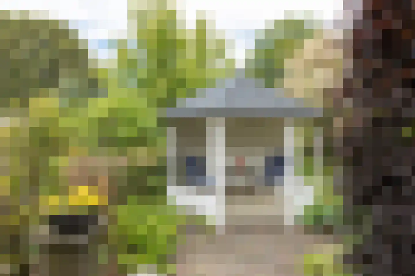 Bleekenweg 13 Neede thumbnail 31