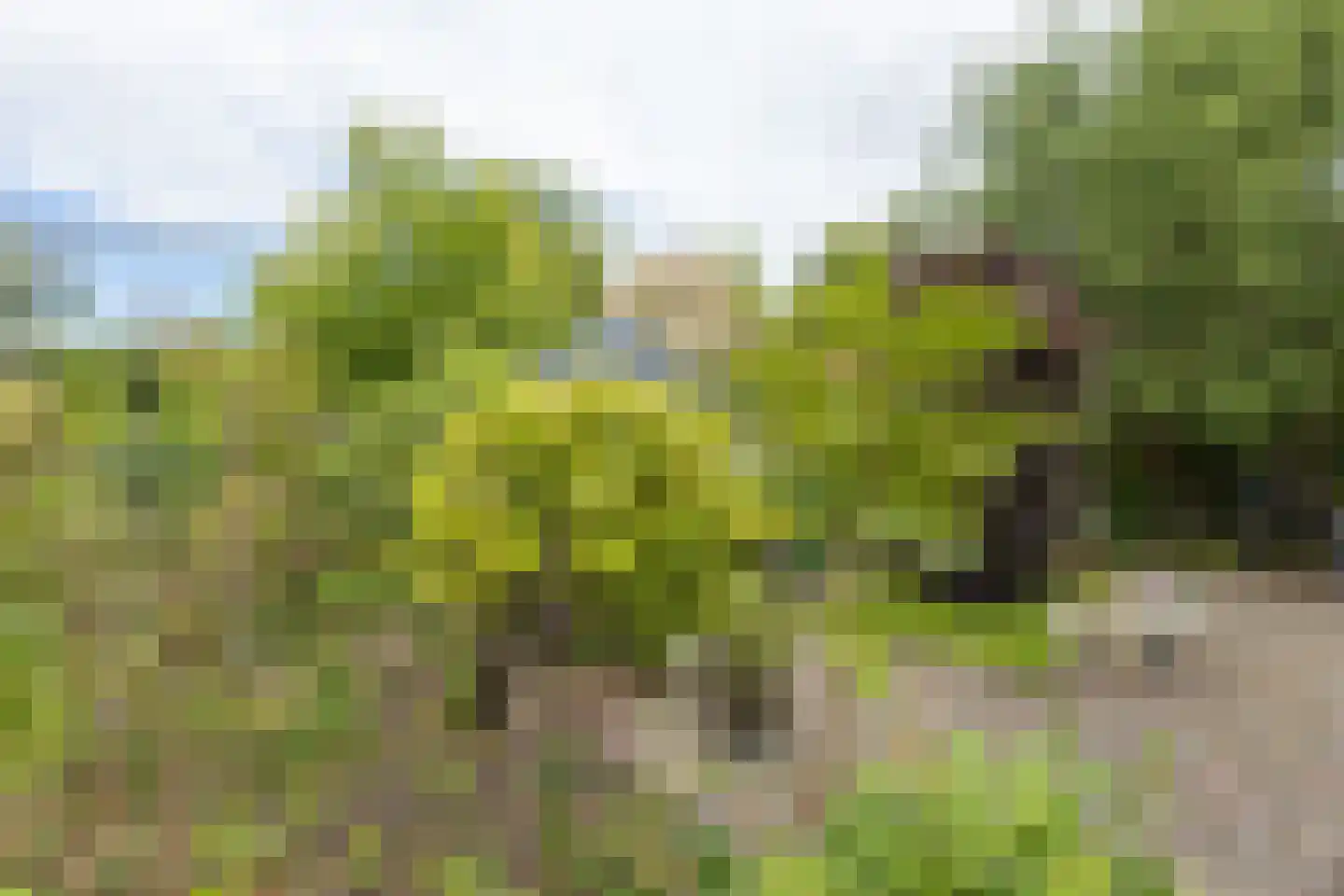 Bleekenweg 13 Neede thumbnail 33