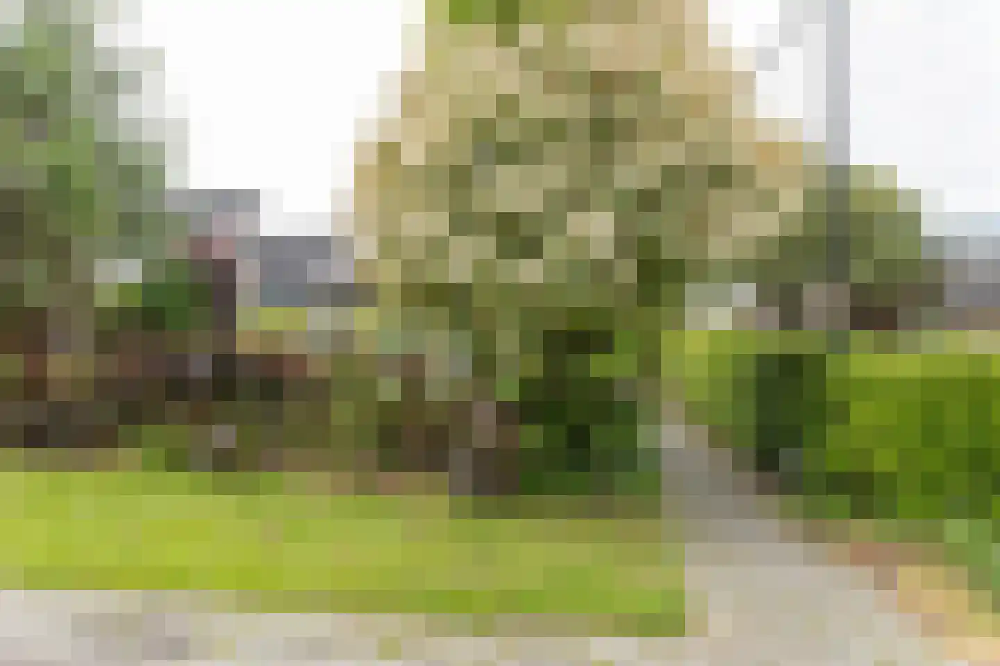 Bleekenweg 13 Neede thumbnail 34