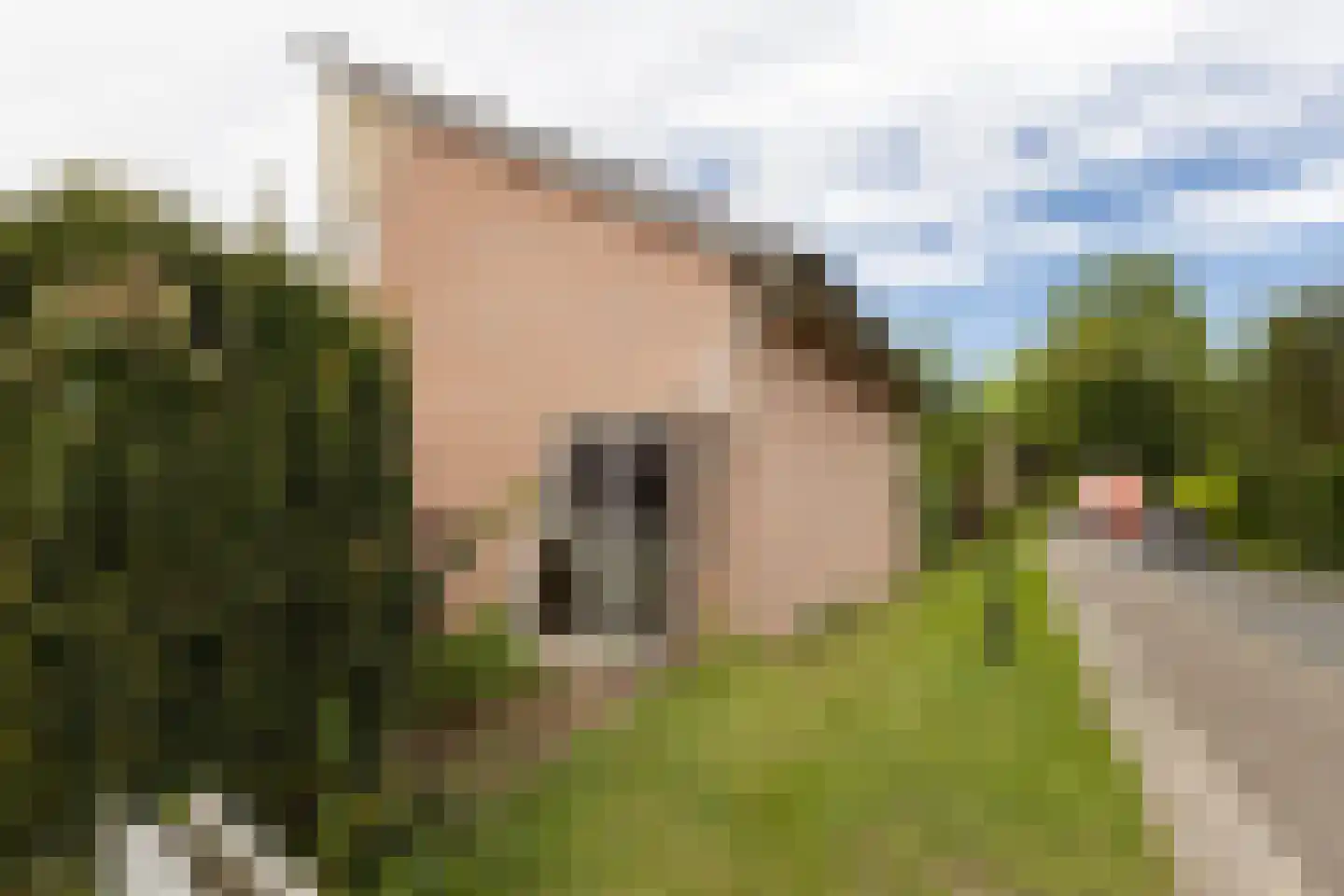 Bleekenweg 13 Neede thumbnail 35