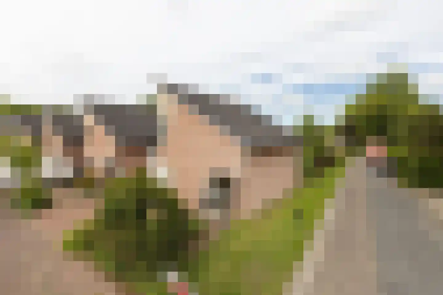 Bleekenweg 13 Neede thumbnail 36