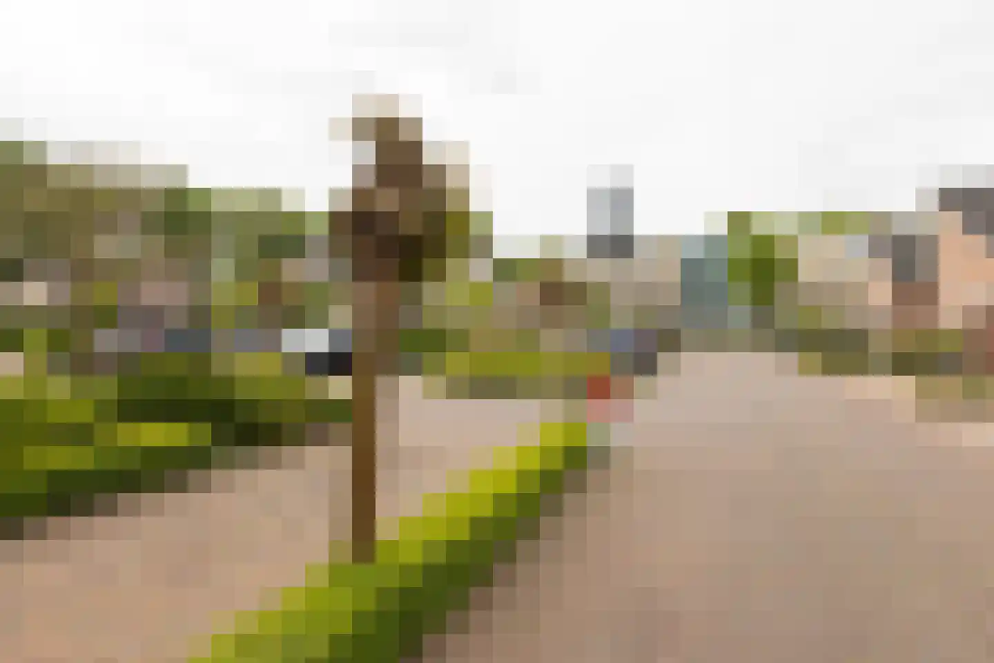 Bleekenweg 13 Neede thumbnail 39