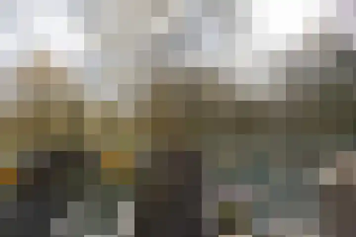 Bleekenweg 56 Neede thumbnail 11