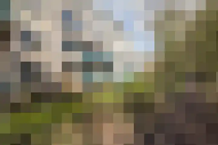 Bleekenweg 56 Neede thumbnail 42