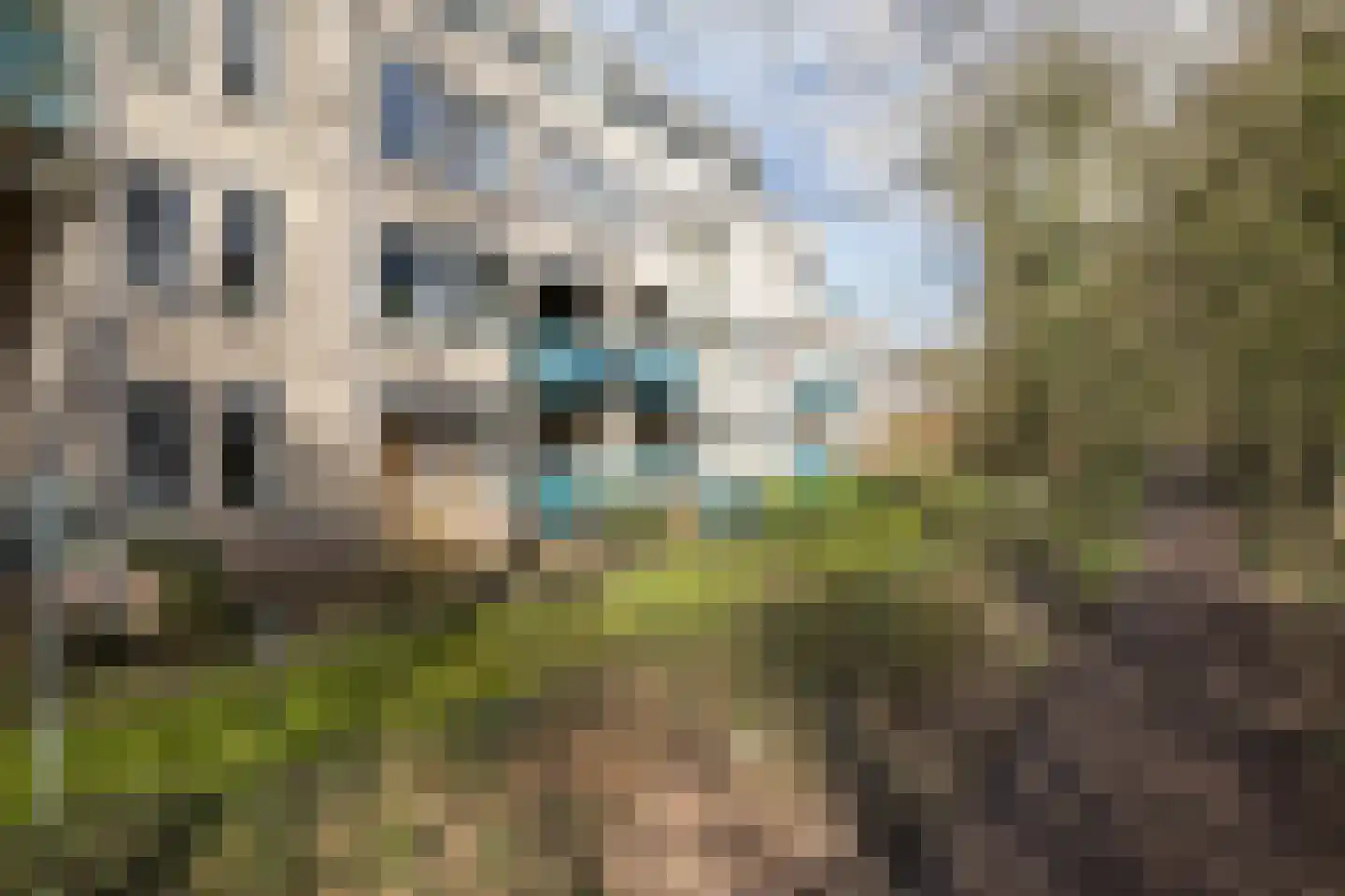 Bleekenweg 56 Neede thumbnail 42