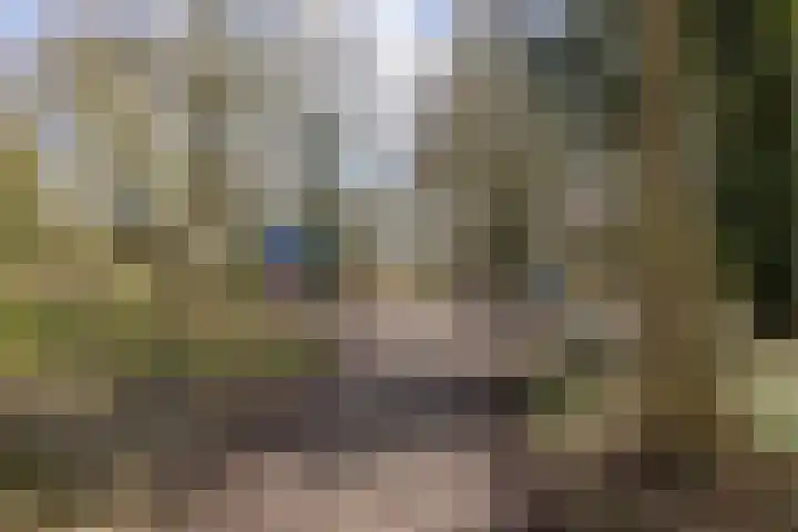Bleekenweg 56 Neede thumbnail 44