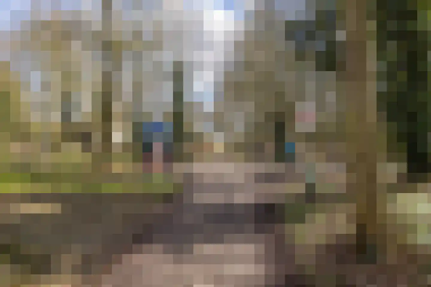 Bleekenweg 56 Neede thumbnail 44