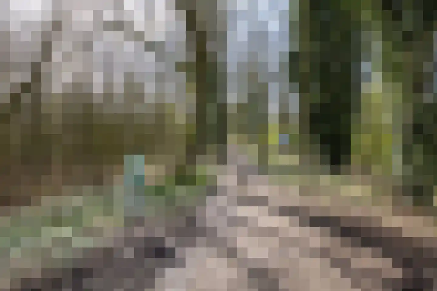 Bleekenweg 56 Neede thumbnail 45