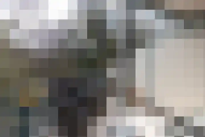 Bleekenweg 56 Neede thumbnail 8